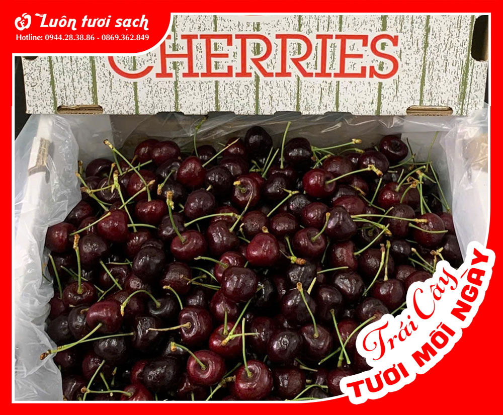 Cherry Canada